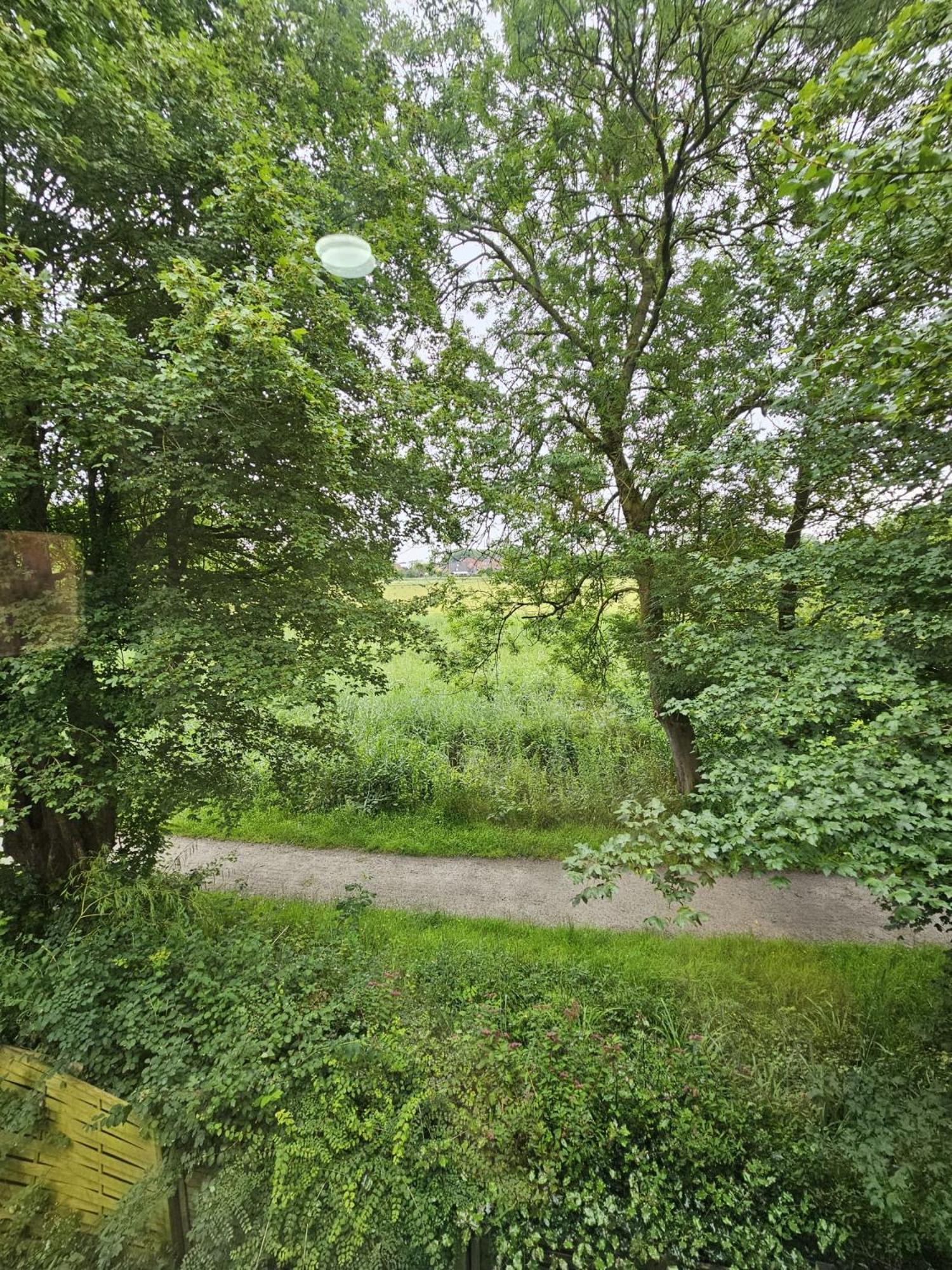 Tautraum Suite Mit Whirlpool Und Gruenem Ausblick Wilhelmshaven Dış mekan fotoğraf